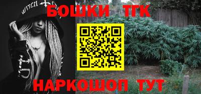 индика Аргун