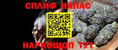 индика Аргун