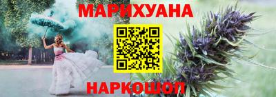 индика Аргун