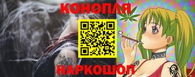 индика Аргун