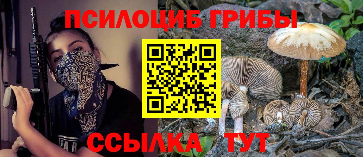 Галлюциногенные грибы прущие грибы  Псилоцибиновые грибы Cubensis  Вход с VPN  Вязьма 