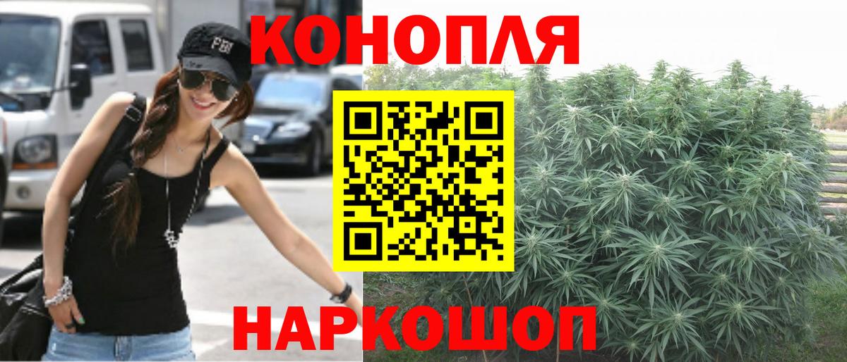 Бошки марихуана марихуана  Конопля тримм  Вход с VPN  Вязьма  Конопля план 